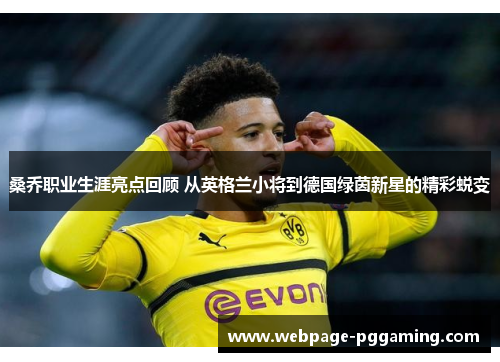 桑乔职业生涯亮点回顾 从英格兰小将到德国绿茵新星的精彩蜕变