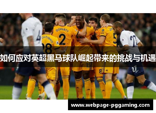 如何应对英超黑马球队崛起带来的挑战与机遇