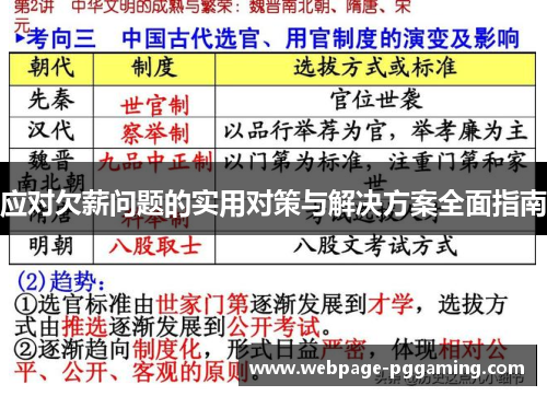 应对欠薪问题的实用对策与解决方案全面指南
