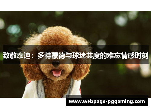 致敬泰迪：多特蒙德与球迷共度的难忘情感时刻