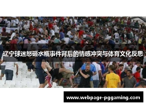 辽宁球迷怒砸水瓶事件背后的情感冲突与体育文化反思