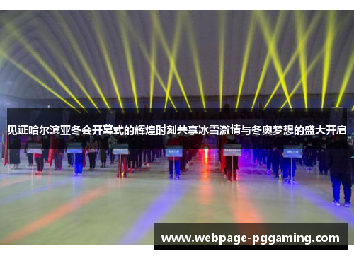 见证哈尔滨亚冬会开幕式的辉煌时刻共享冰雪激情与冬奥梦想的盛大开启