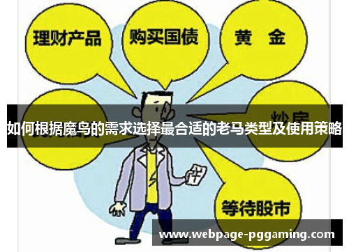 如何根据魔鸟的需求选择最合适的老马类型及使用策略