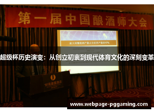 超级杯历史演变：从创立初衷到现代体育文化的深刻变革