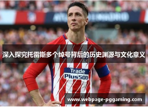 深入探究托雷斯多个绰号背后的历史渊源与文化意义 深入探究托雷斯多个绰号背后的历史渊源与文化意义