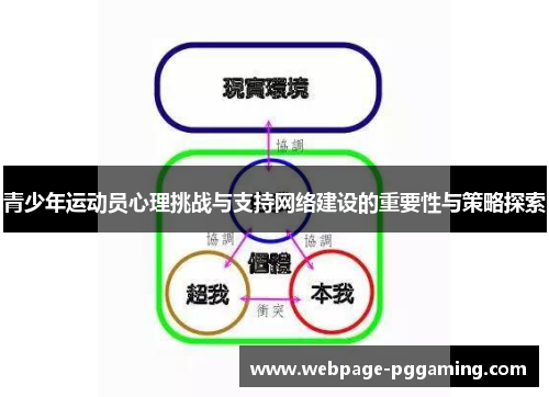 青少年运动员心理挑战与支持网络建设的重要性与策略探索