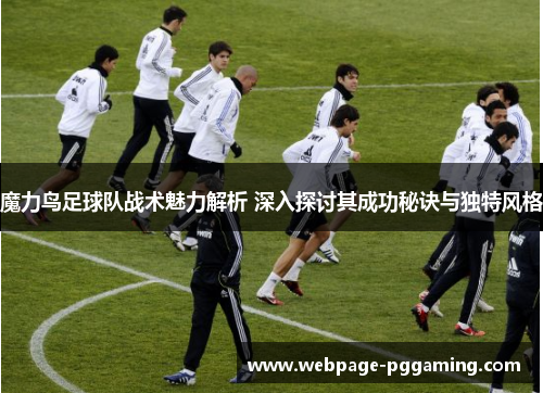 魔力鸟足球队战术魅力解析 深入探讨其成功秘诀与独特风格