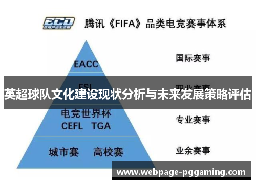 英超球队文化建设现状分析与未来发展策略评估