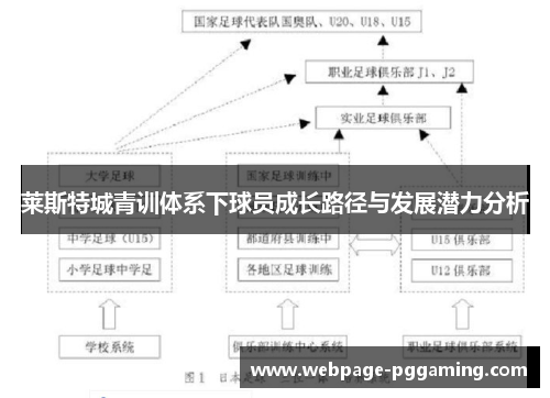 莱斯特城青训体系下球员成长路径与发展潜力分析 莱斯特城青训体系下球员成长路径与发展潜力分析