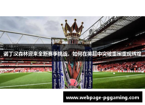 诺丁汉森林迎来全新赛季挑战，如何在英超中突破重围重现辉煌